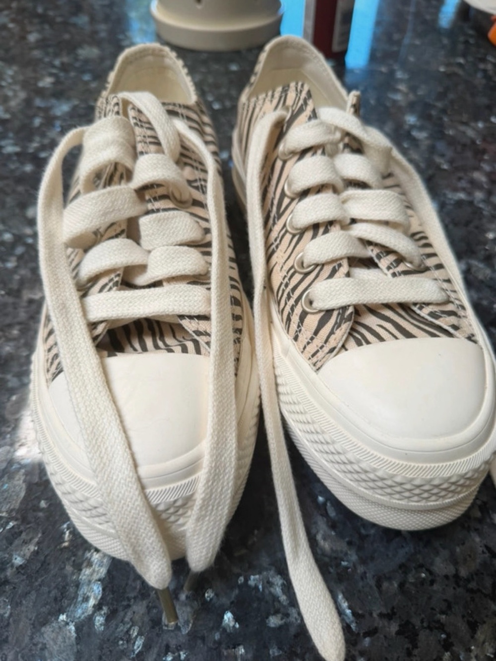 Women’s Chuck Taylor All Star Converse.  Size 6 1/2 NWOT